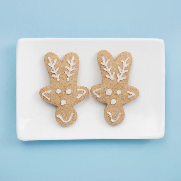 Free From Family Co Gingerbread Cookie Mix 360g