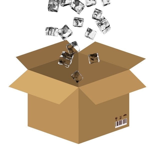 Ice Pack for EXPRESS Shipping **Stay Cold 18-24 Hours** - Happy Tummies